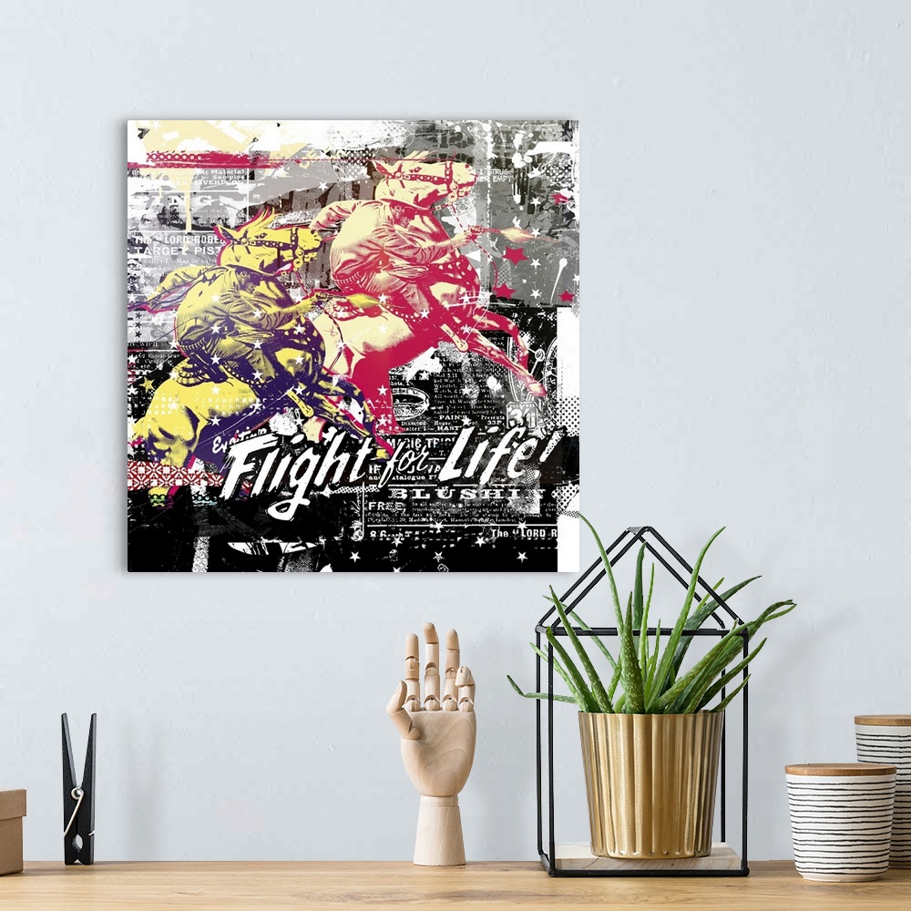 A bohemian room featuring Flight For Life!, 2015
