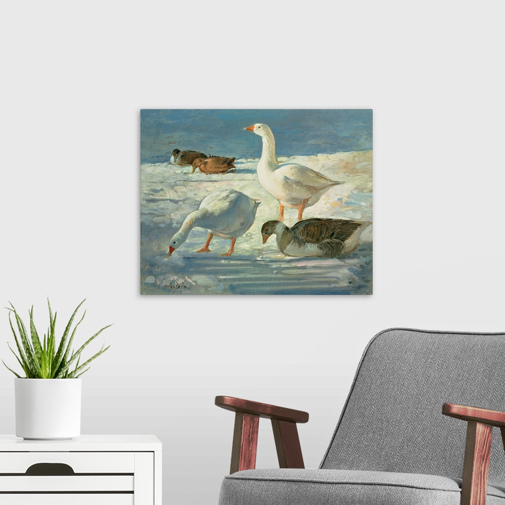 A modern room featuring Geese and Mallards, 2000
