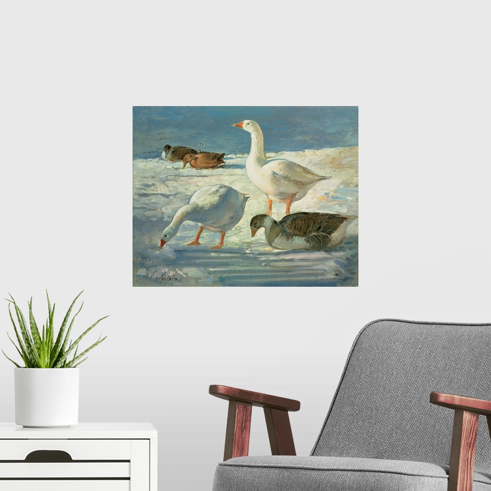 A modern room featuring Geese and Mallards, 2000