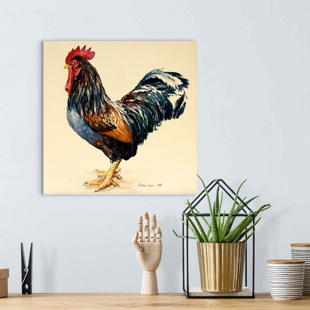 A bohemian room featuring Contemporary painting of a large rooster with dark feathers.