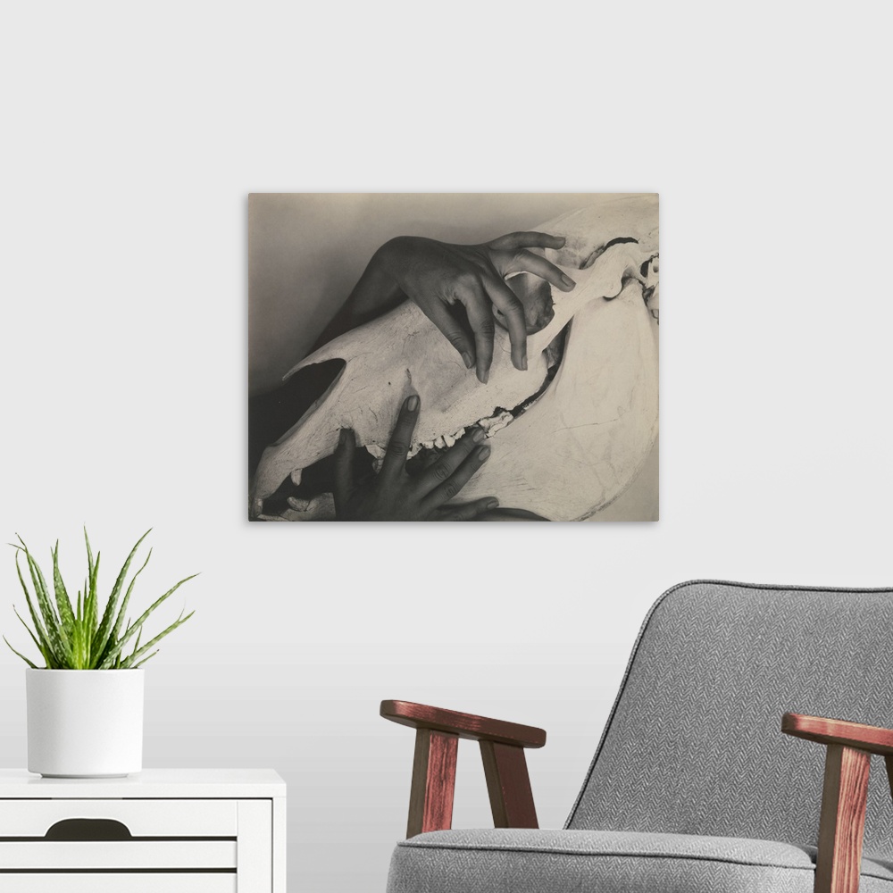 A modern room featuring Gelatin silver print, 1931. Section of a composite portrait of the artist Georgia O'Keeffe (1887 ...
