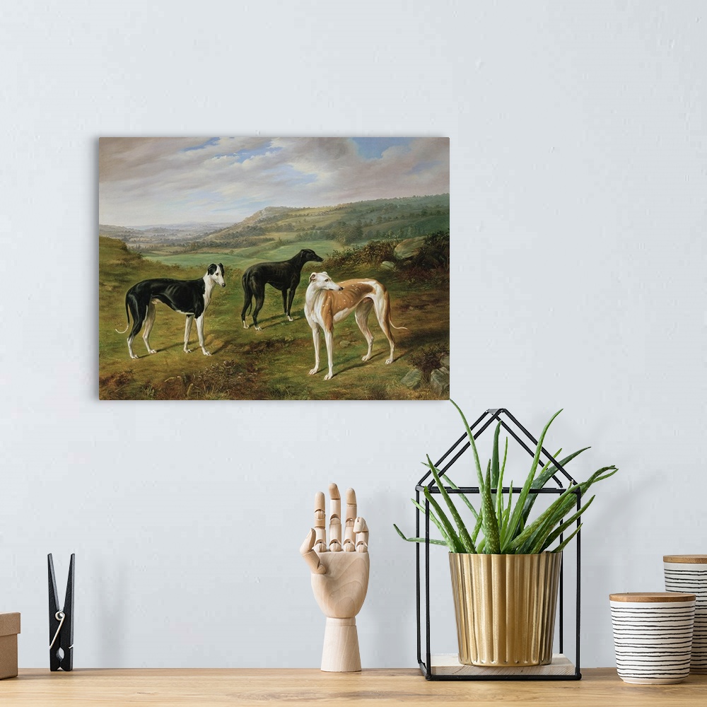 A bohemian room featuring Greyhounds