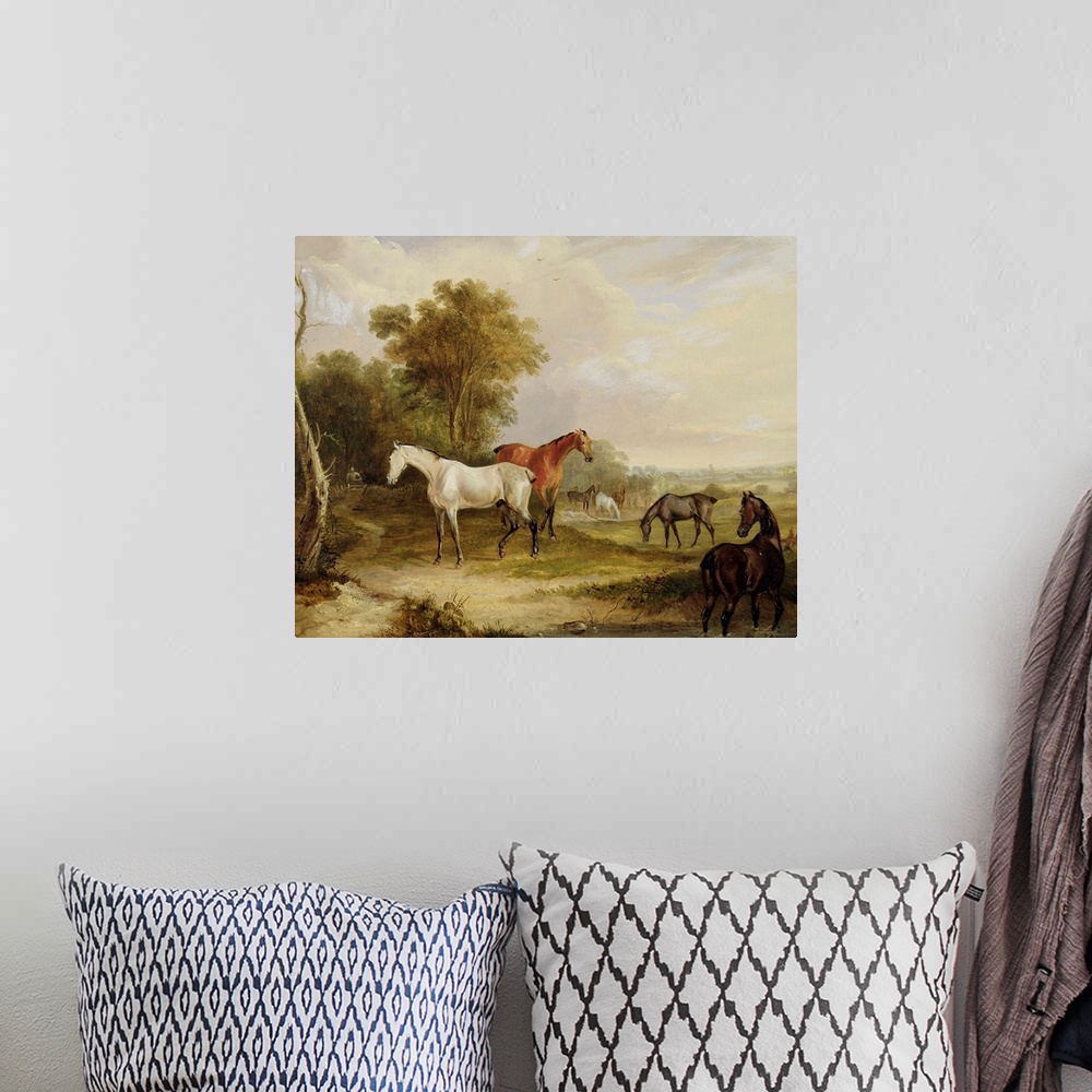 A bohemian room featuring Horses Grazing: A Grey Stallion grazing with Mares in a Meadow