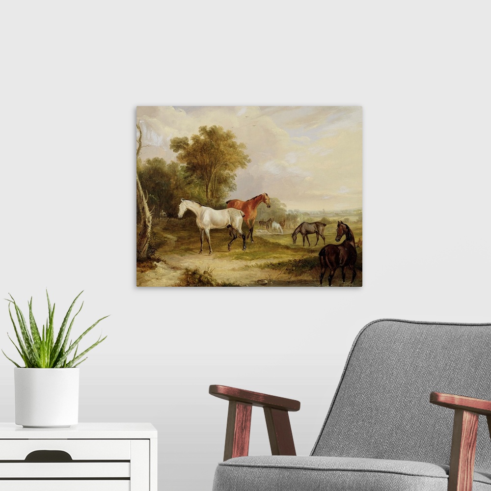 A modern room featuring Horses Grazing: A Grey Stallion grazing with Mares in a Meadow
