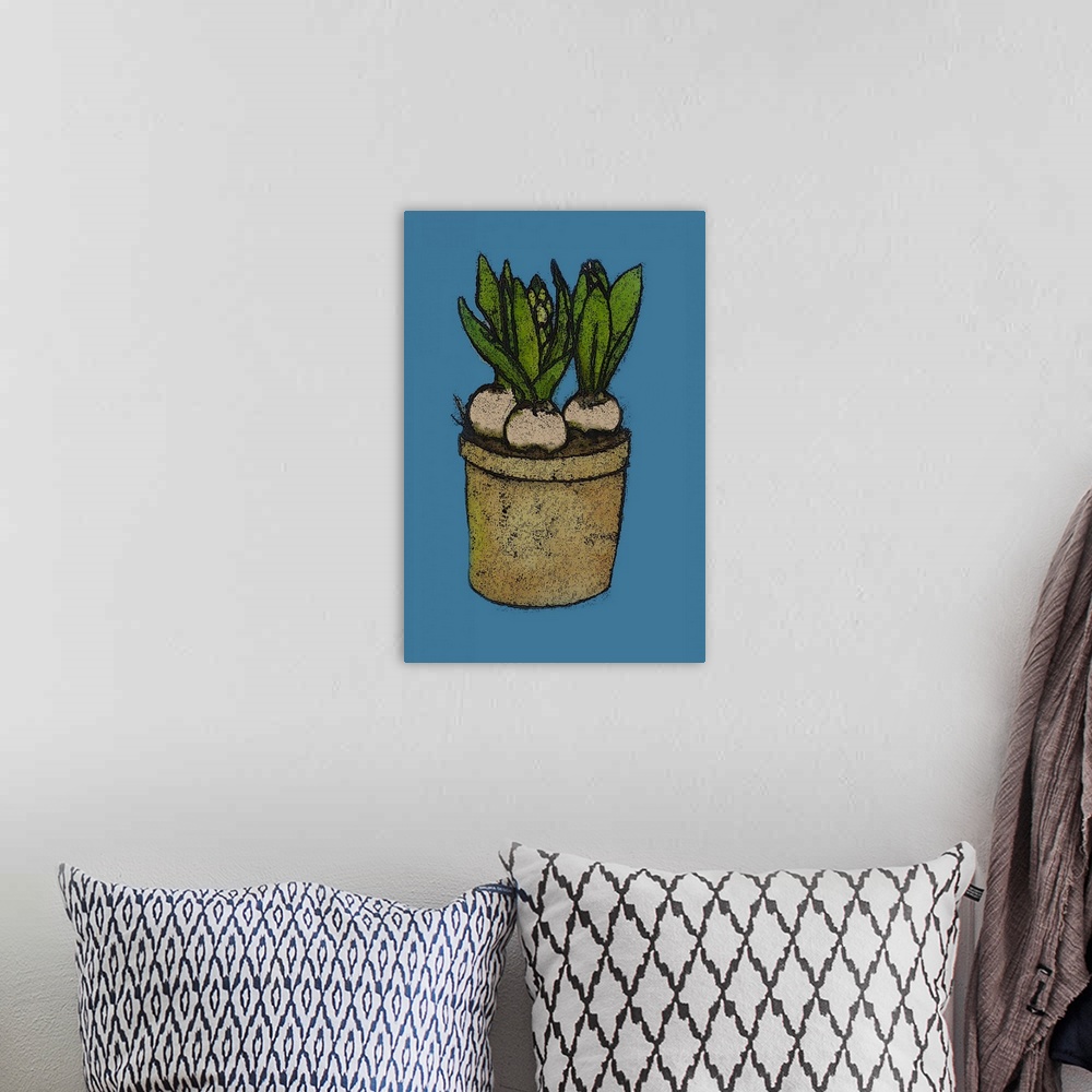 A bohemian room featuring Hyacinths In A Pot