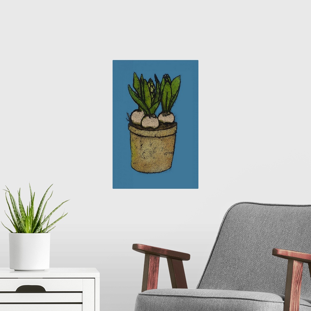 A modern room featuring Hyacinths In A Pot