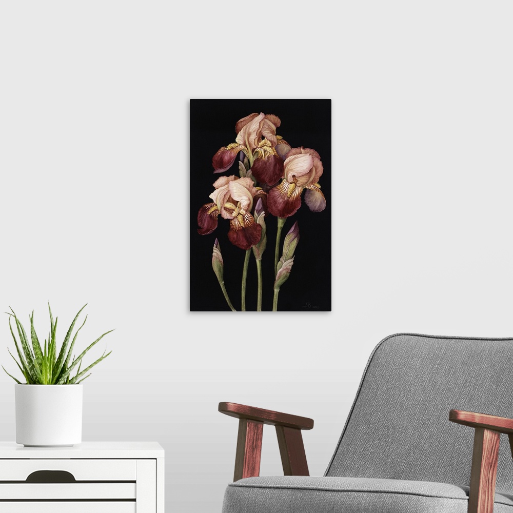 A modern room featuring orchids a1, 7/2/05, 11:01 am,  8C, 3750x4998 (0 2), 62, bent 6 stops,   1/8 s, R108.4, G74.3, B98.5