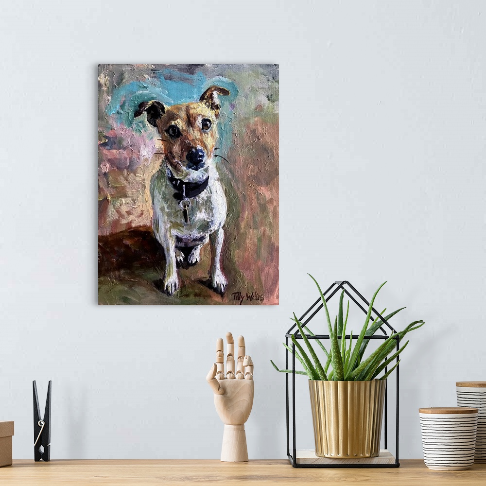 A bohemian room featuring Jack Russell, 2020
