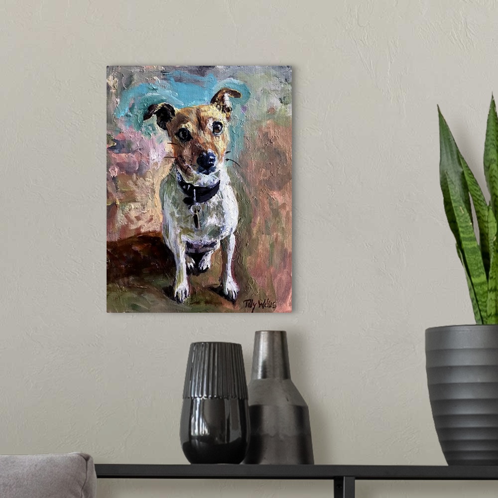 A modern room featuring Jack Russell, 2020