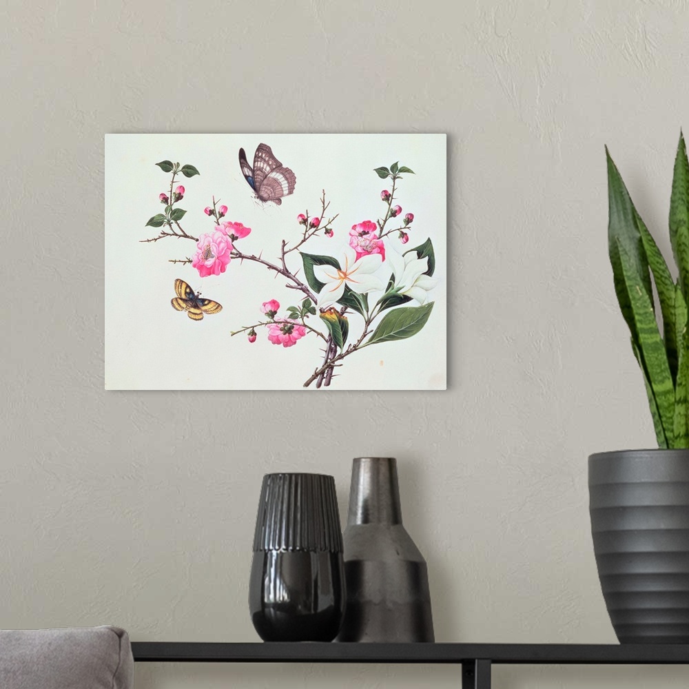 A modern room featuring Japonica, Magnolia and Butterflies (w/c on paper); by Chinese School, (19th century); watercolour...
