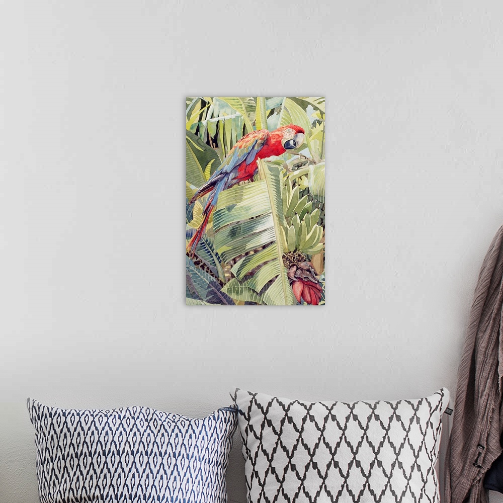 A bohemian room featuring FCH153609 Jungle Parrot (w/c on paper) by House, Felicity