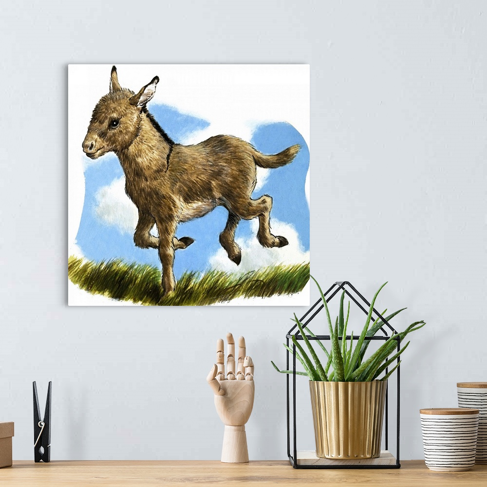 A bohemian room featuring Little Donkey