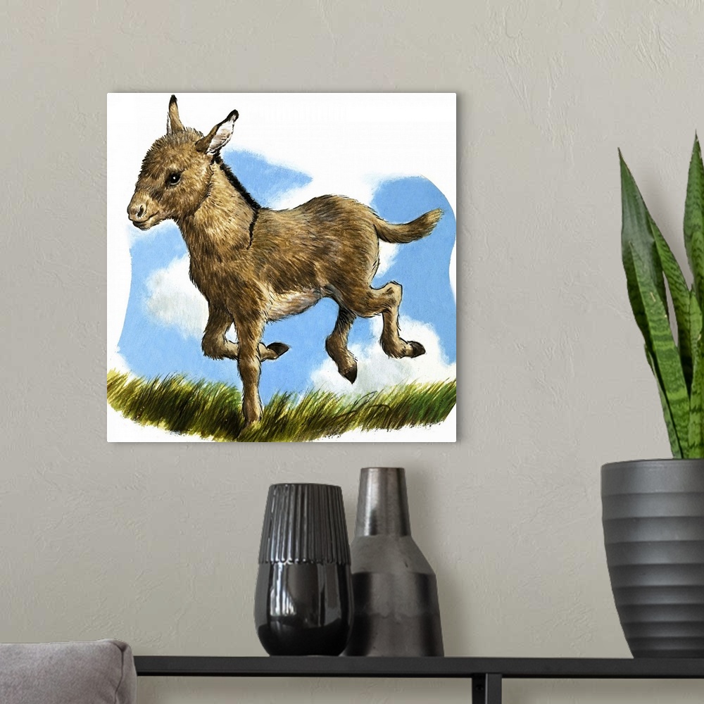 A modern room featuring Little Donkey