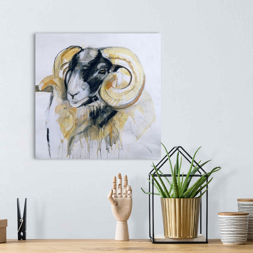 A bohemian room featuring Long Horn Sheep