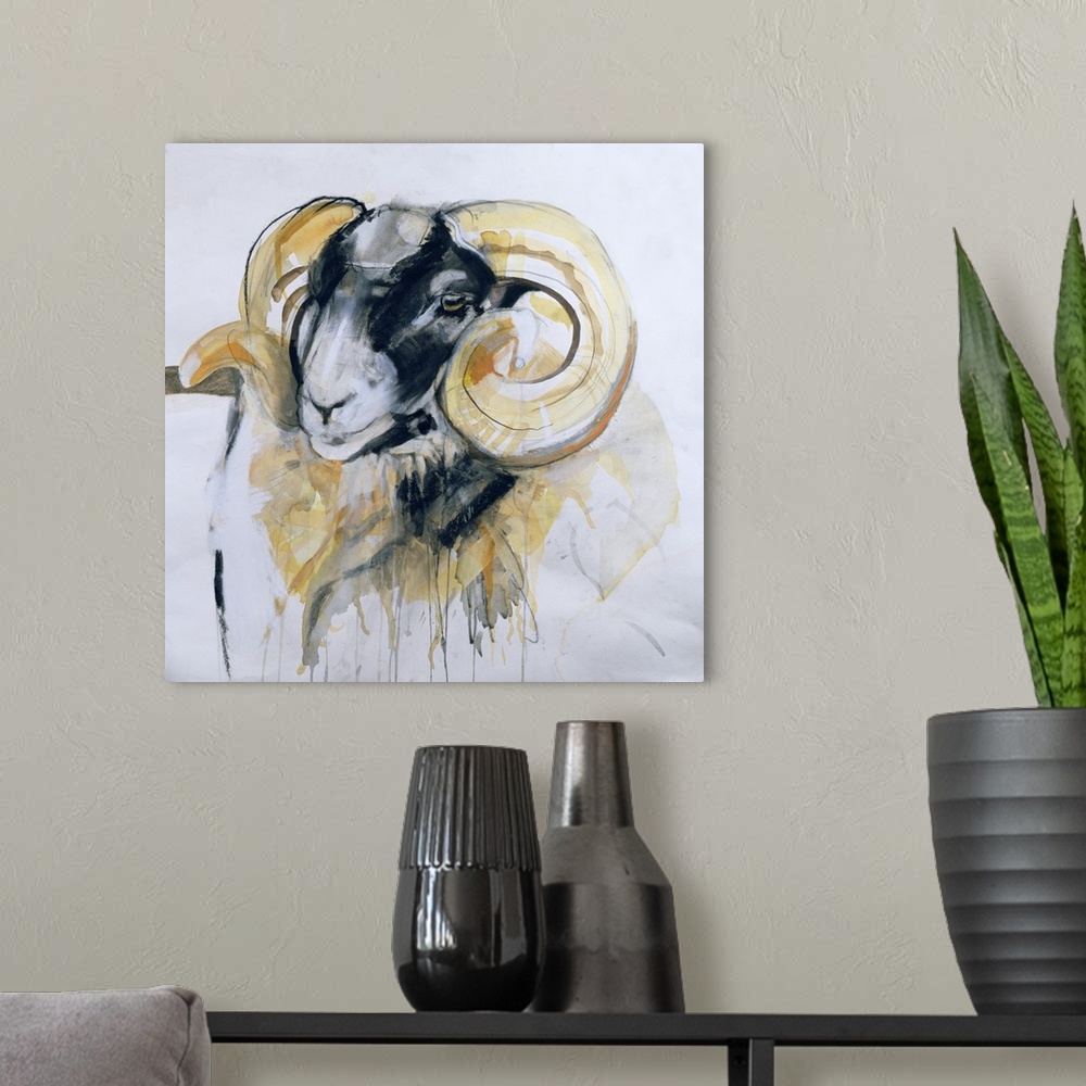 A modern room featuring Long Horn Sheep