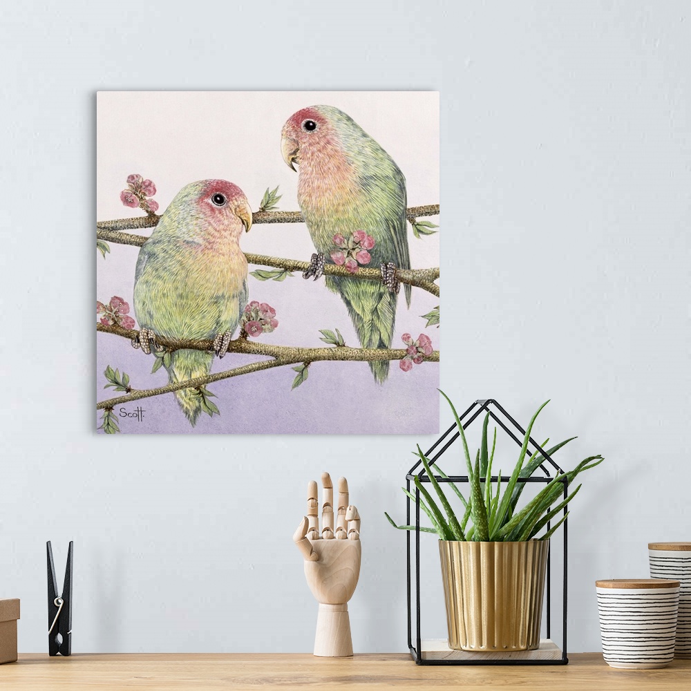 A bohemian room featuring Love Birds