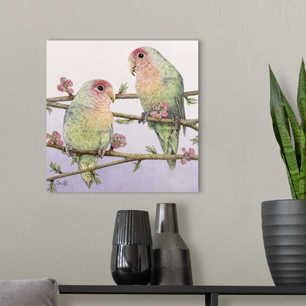 A modern room featuring Love Birds