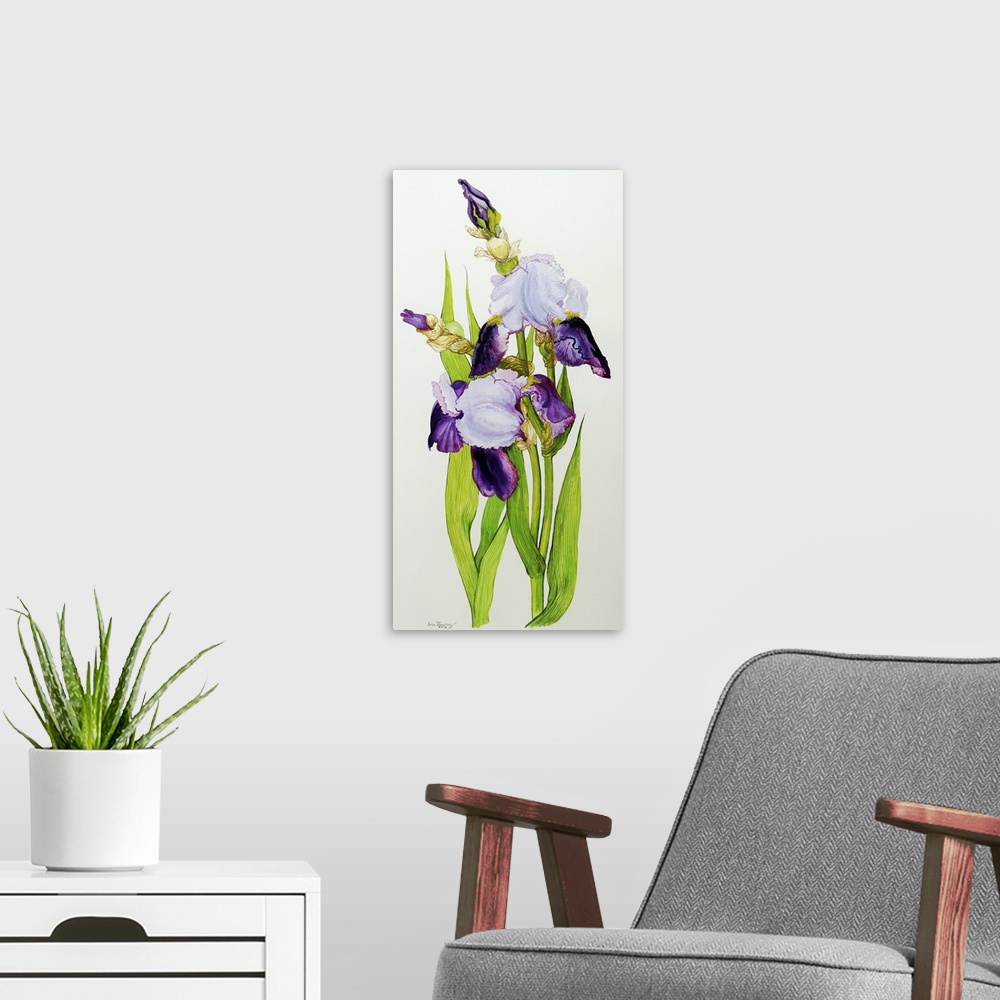 A modern room featuring Mauve and purple irises with two buds