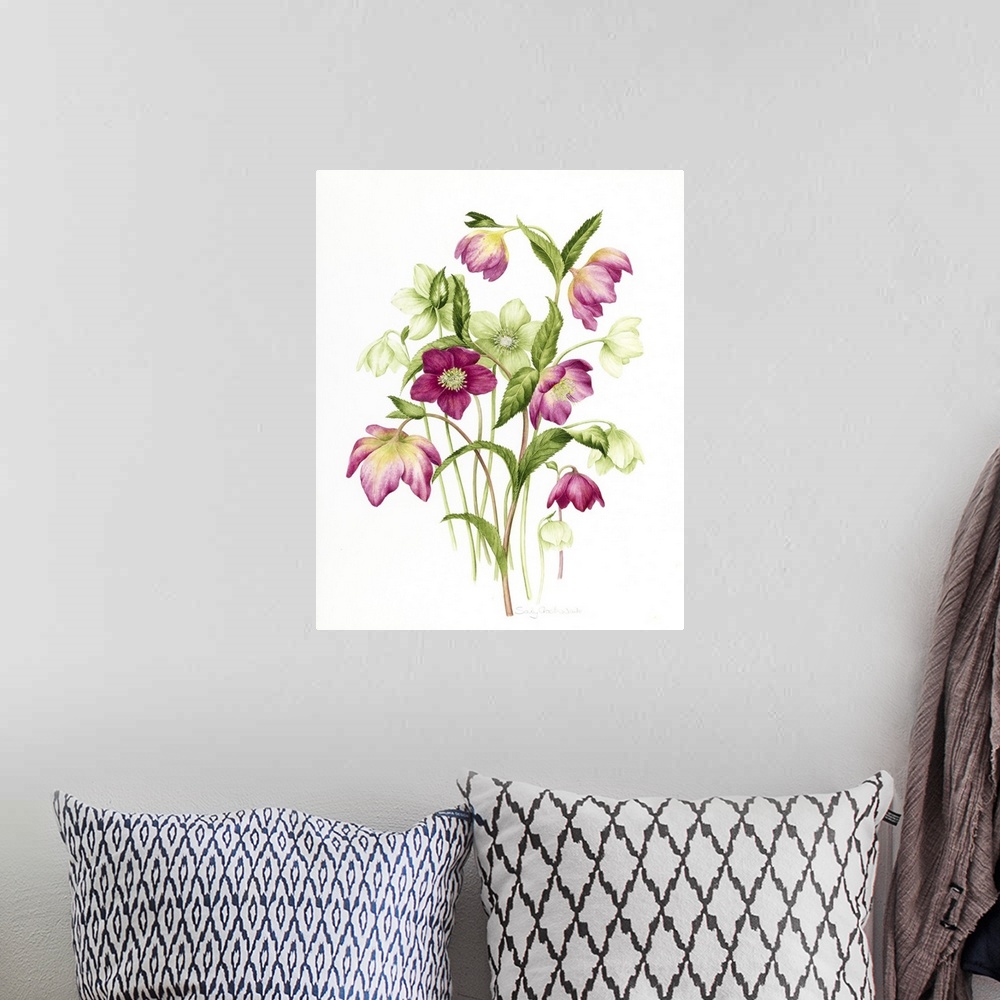 A bohemian room featuring Mixed Hellebores
