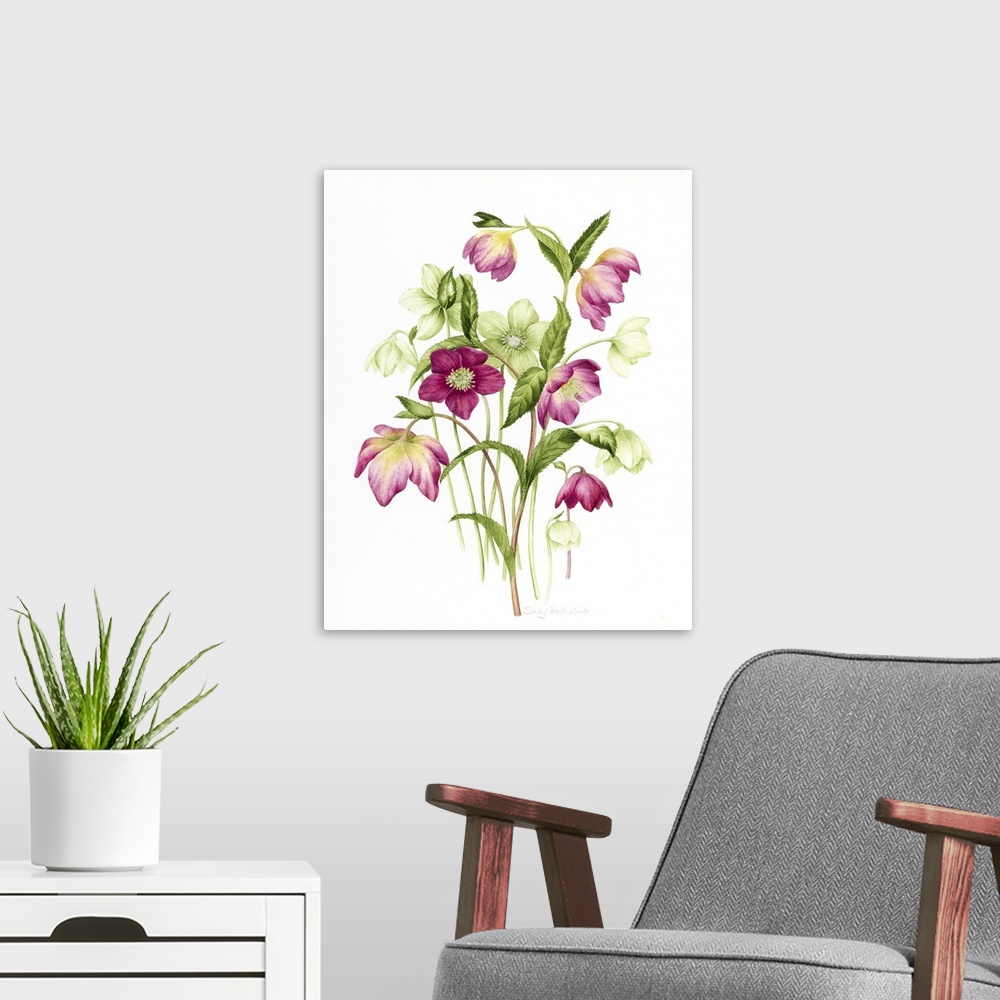 A modern room featuring Mixed Hellebores