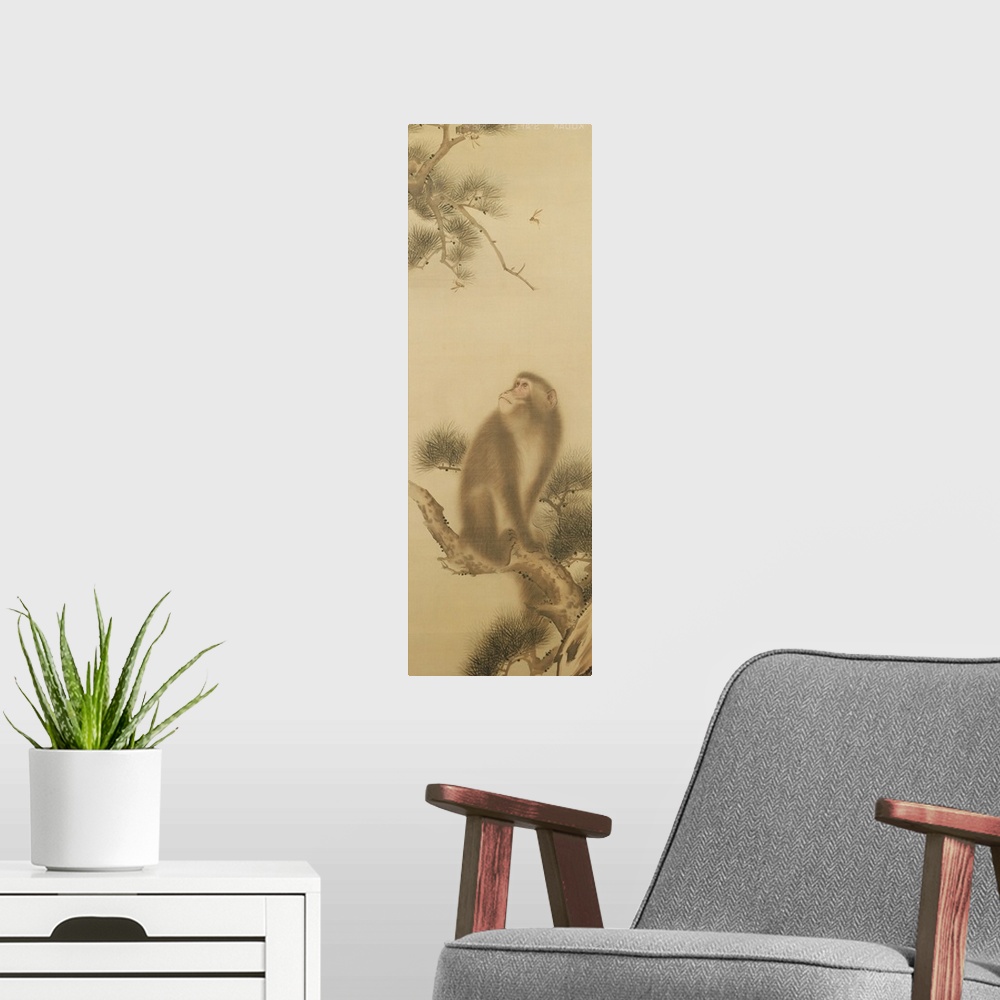 A modern room featuring Monkey watching a dragonfly