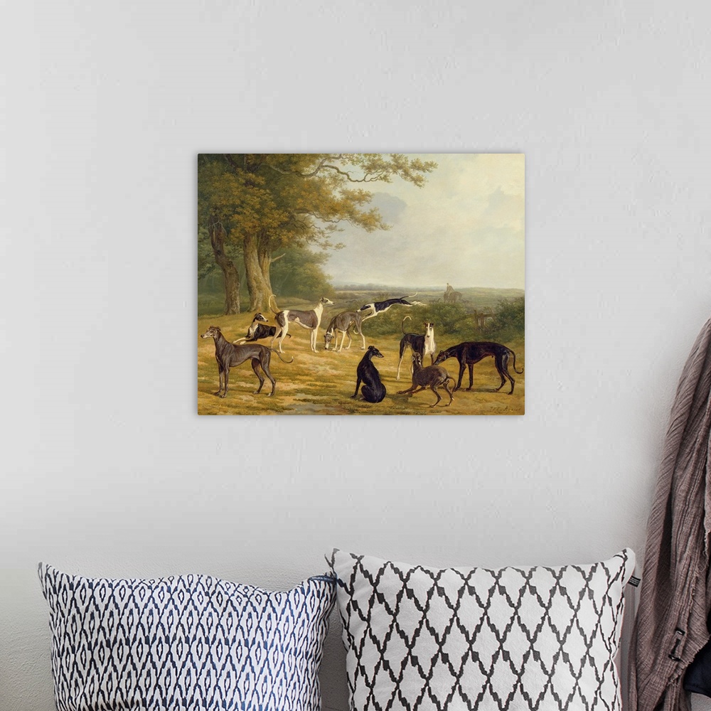 A bohemian room featuring Nine Greyhounds in a Landscape