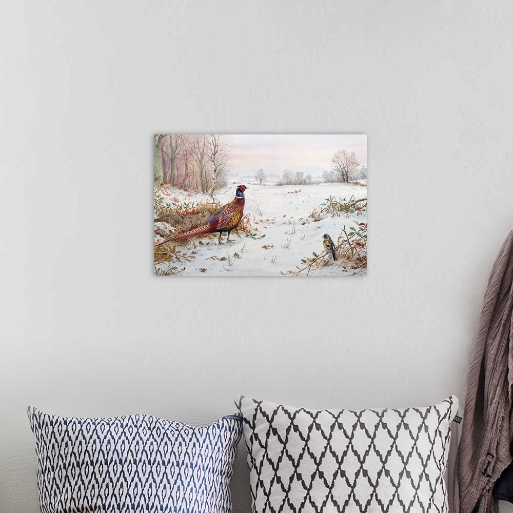 A bohemian room featuring Pheasant and bramblefinch in the snow