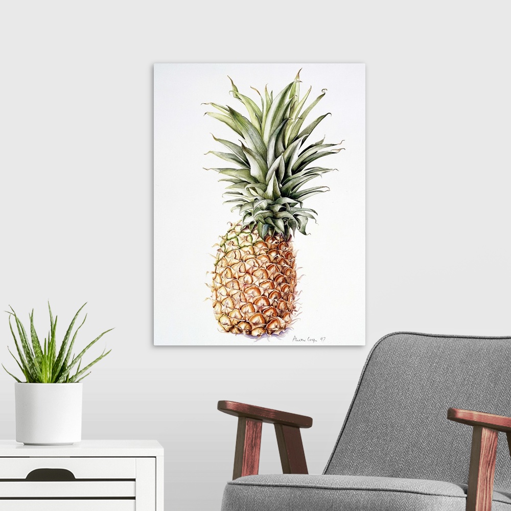 A modern room featuring Pineapple, 1997