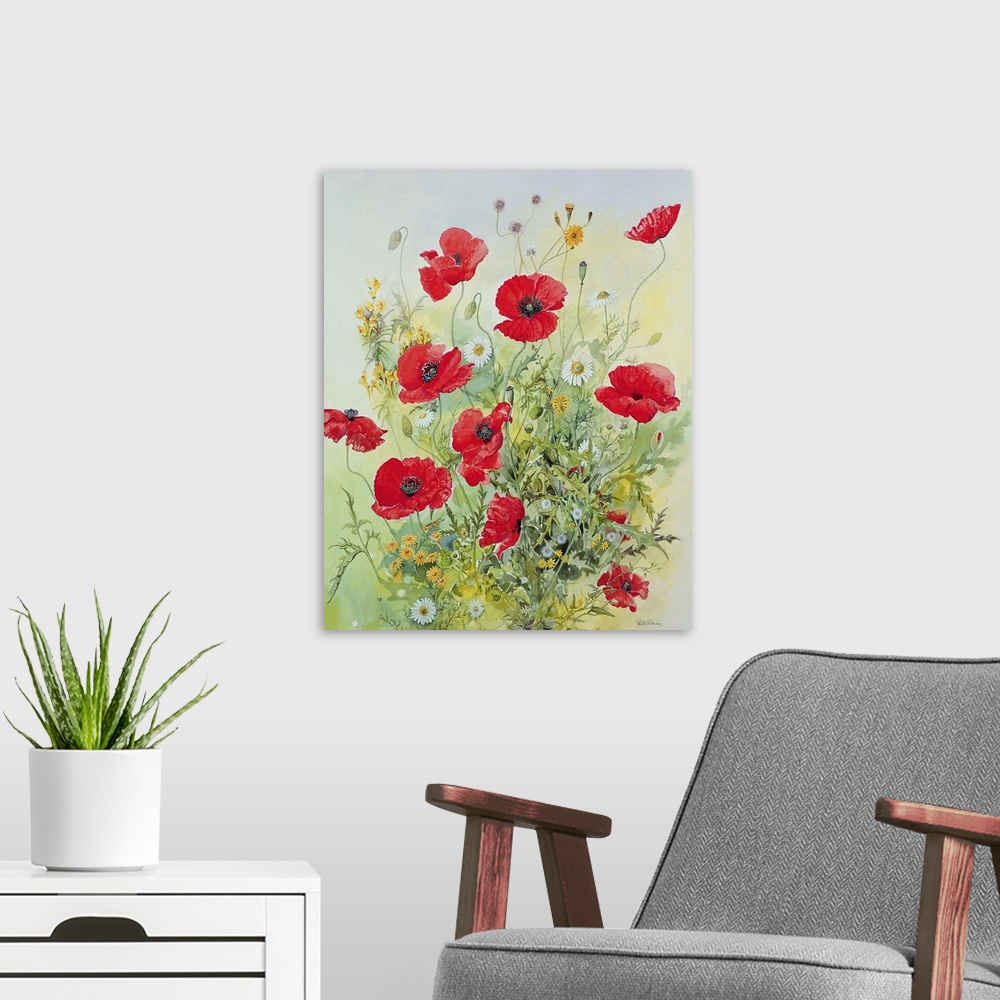 A modern room featuring Poppies and Mayweed