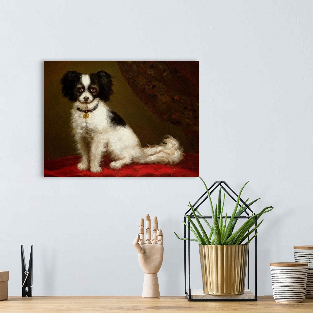 A bohemian room featuring Portrait of a Spaniel