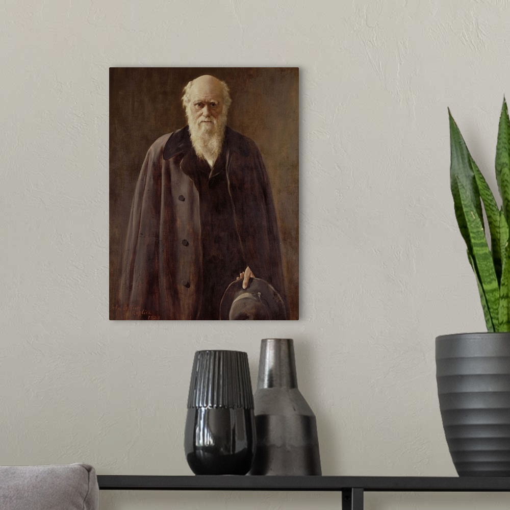 A modern room featuring Portrait of Charles Darwin (1809-1882) 1883