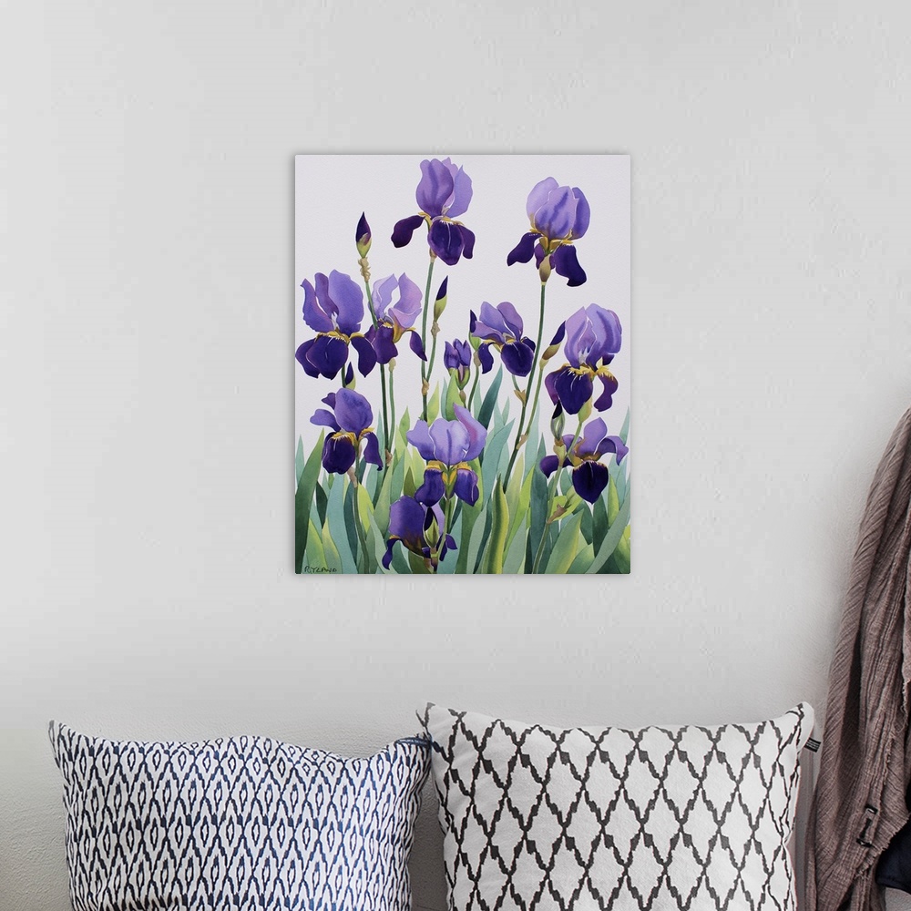 A bohemian room featuring Purple Irises