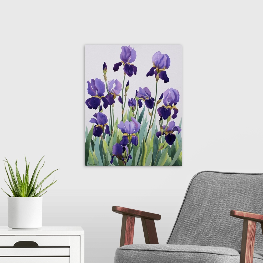 A modern room featuring Purple Irises