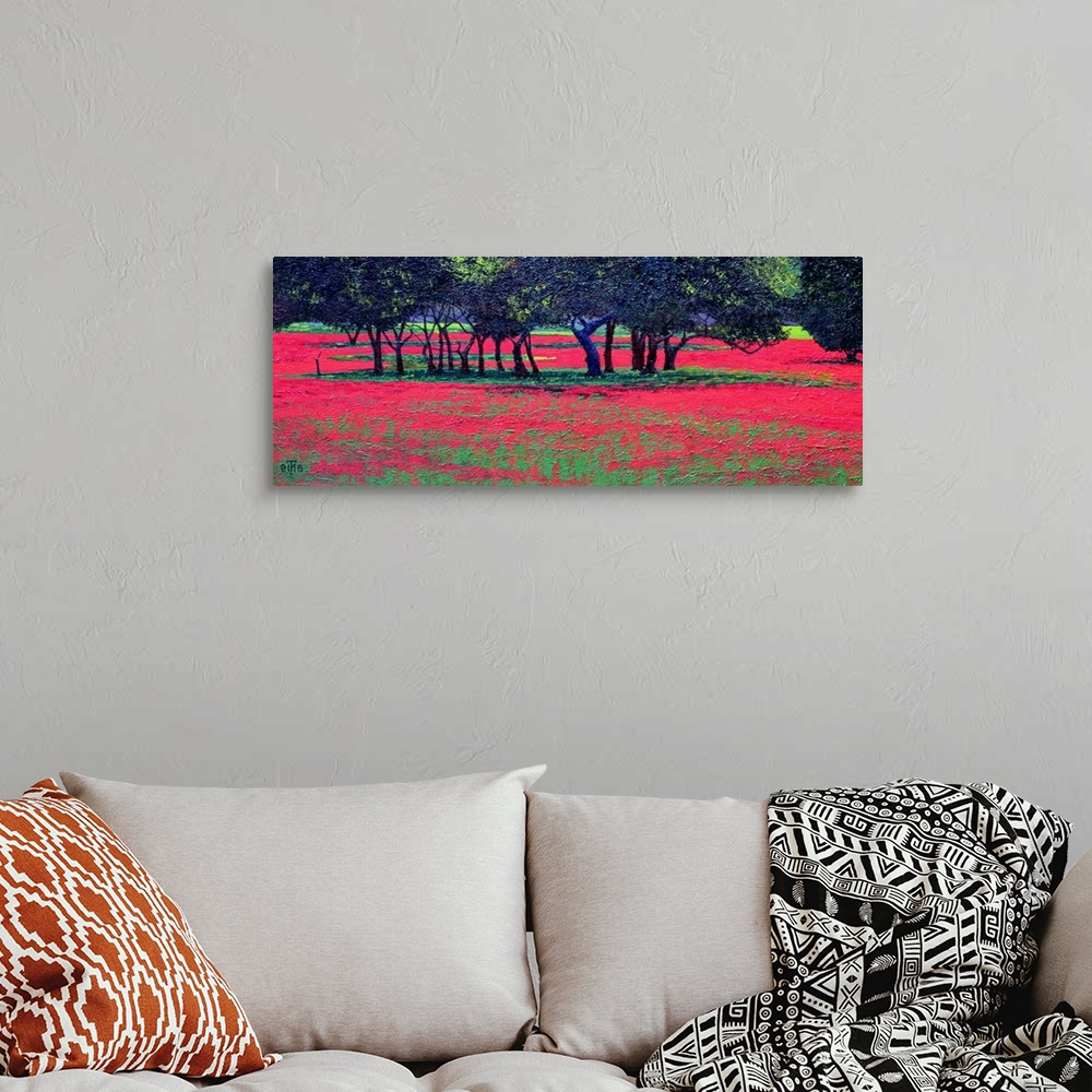A bohemian room featuring Panoramic photo of a field or red flowers with clusters of tree in the middle of the field.