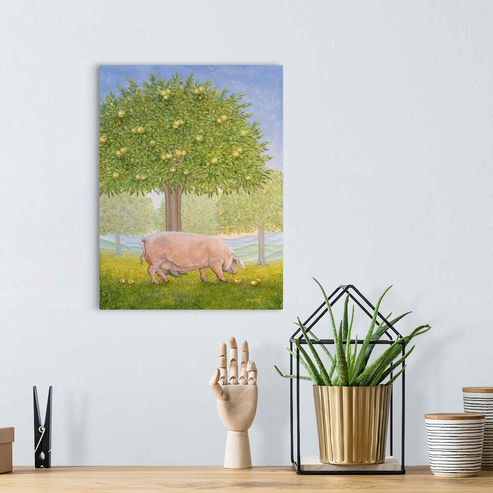 A bohemian room featuring Right Hand Orchard Pig