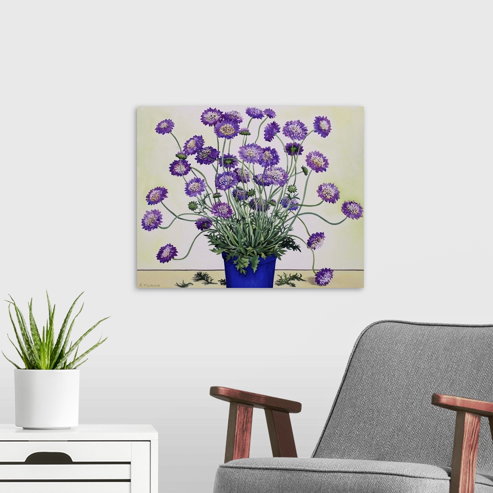 A modern room featuring Scabious