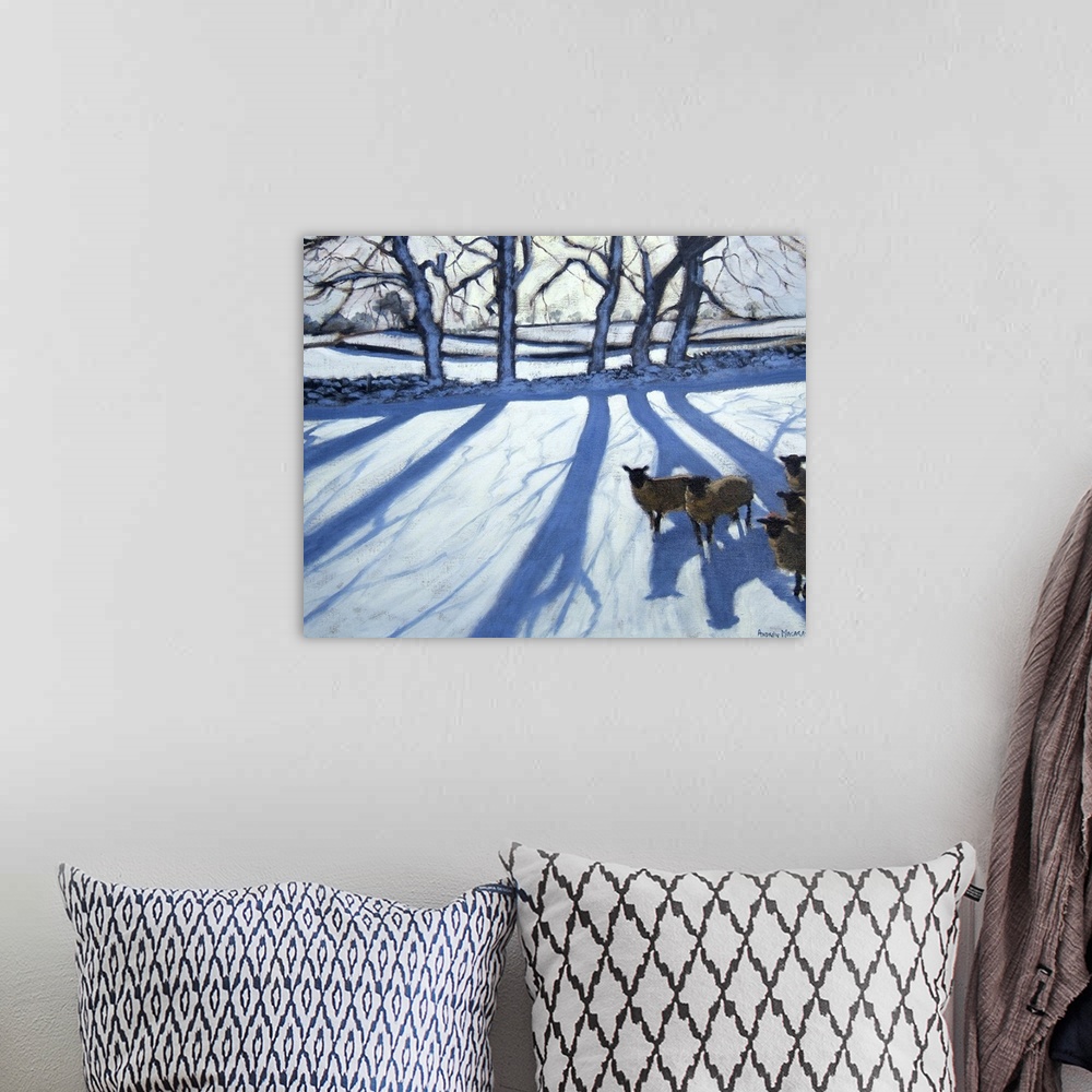 A bohemian room featuring Sheep in snow, Derbyshire