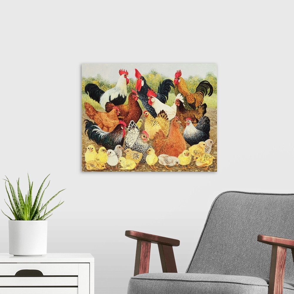 A modern room featuring Contemporary painting of several roosters, hens, and chicks.