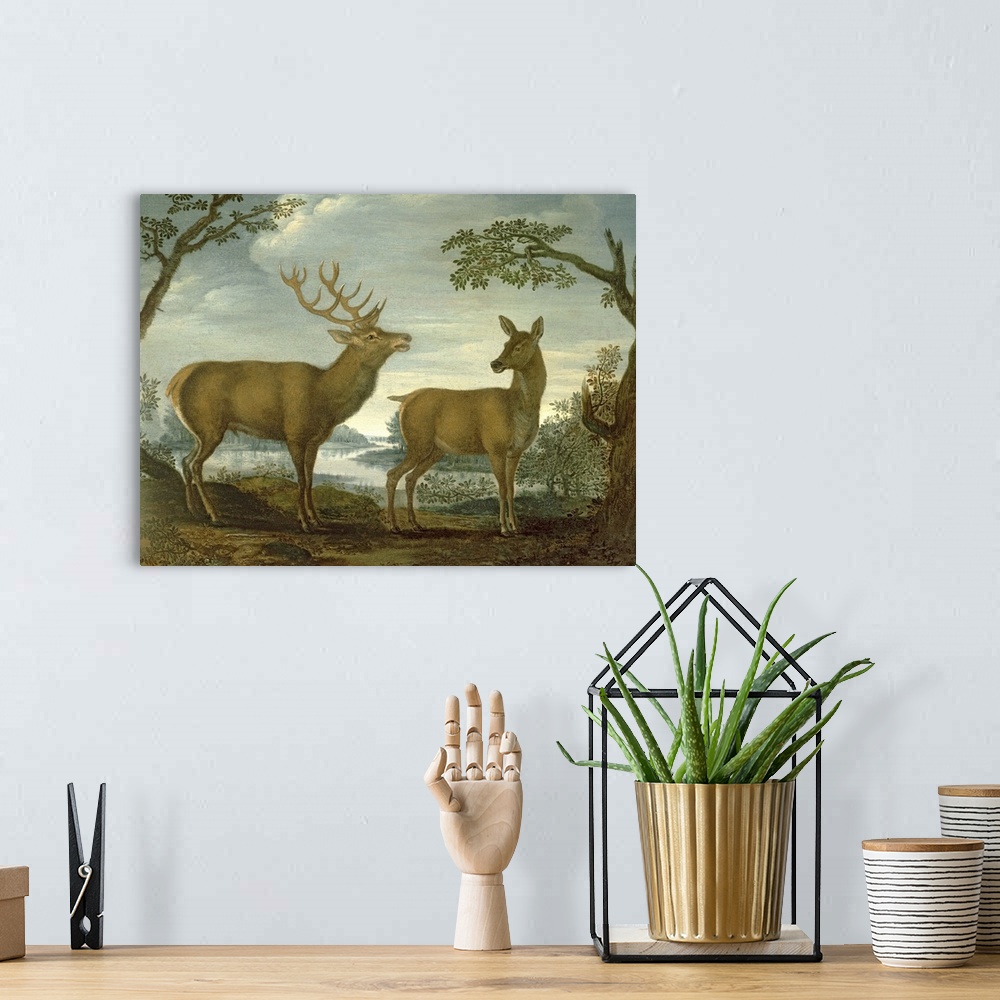 A bohemian room featuring BAL77040 Stag and hind in a wooded landscape (panel)  by German School, (18th century); oil on pa...
