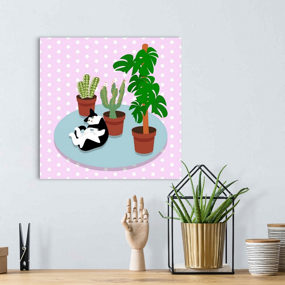 A bohemian room featuring The Cat And The Cacti