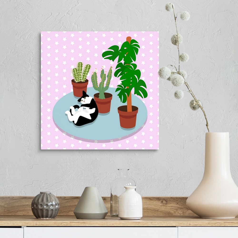 A farmhouse room featuring The Cat And The Cacti