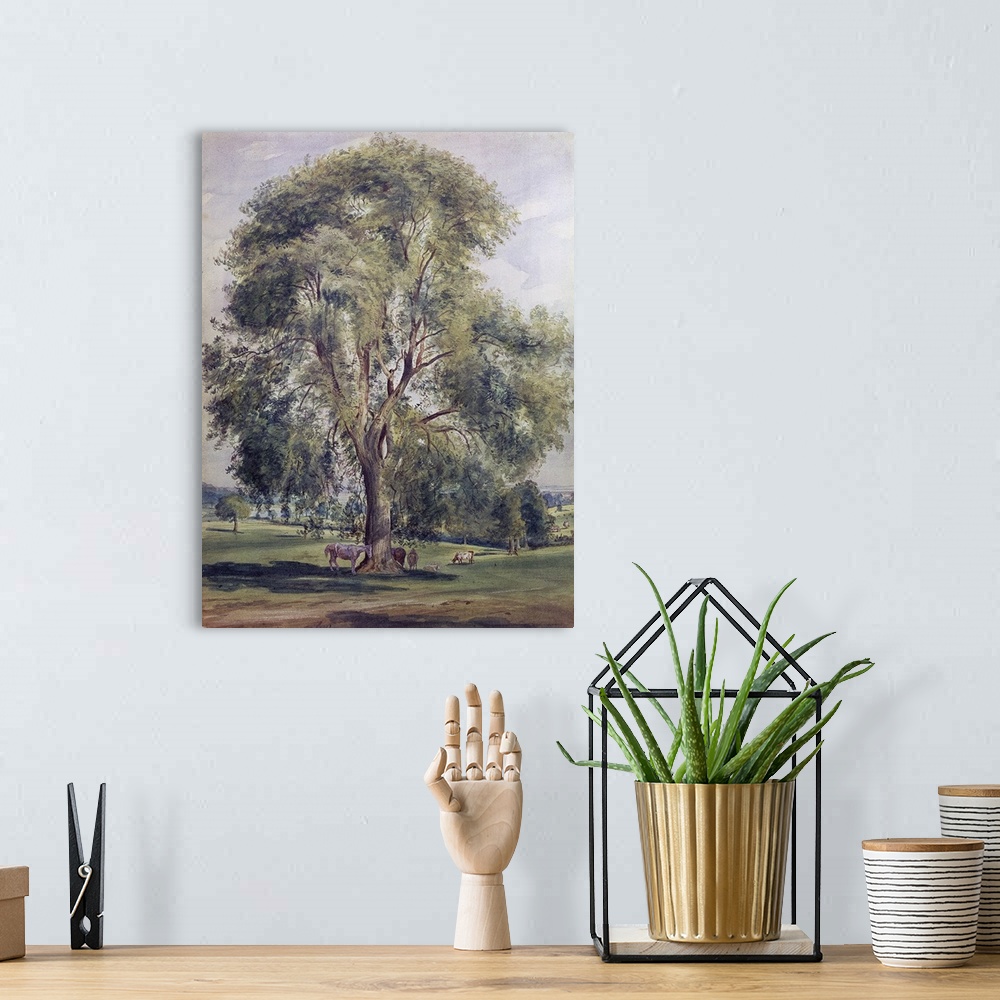 A bohemian room featuring The Tree