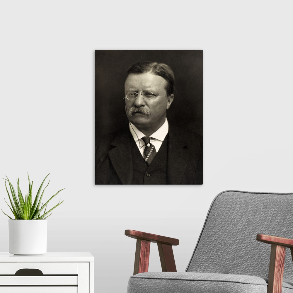 A modern room featuring Theodore Roosevelt