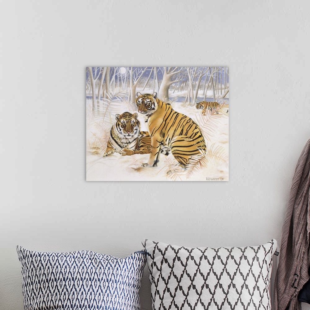 A bohemian room featuring Tigers