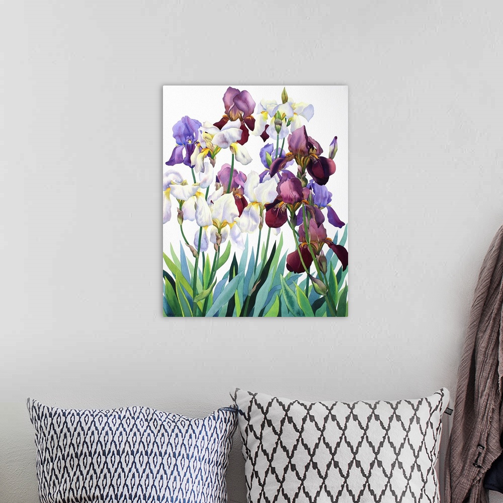 A bohemian room featuring White and Purple Irises by Ryland, Christopher