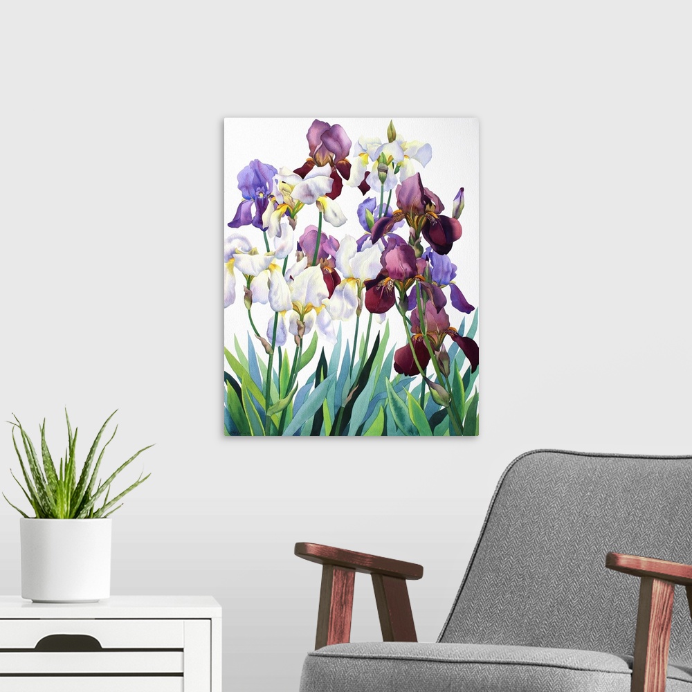 A modern room featuring White and Purple Irises by Ryland, Christopher