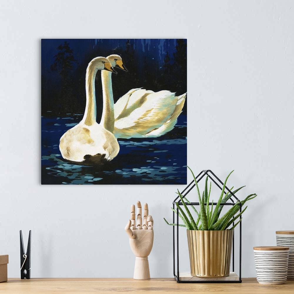 A bohemian room featuring Whooper Swans