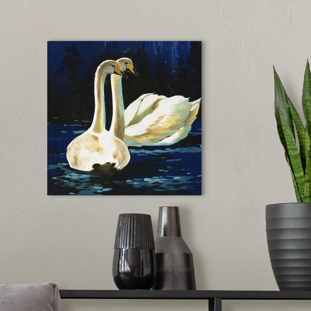 A modern room featuring Whooper Swans