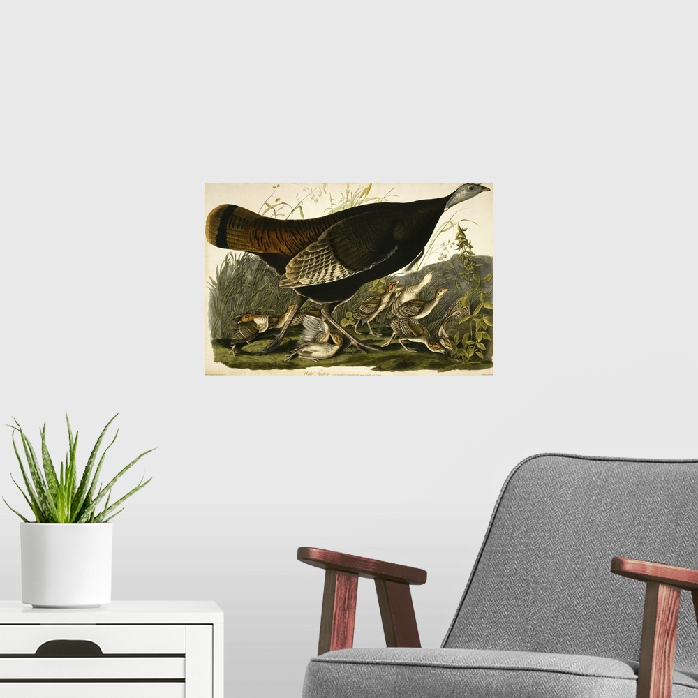 A modern room featuring Originally a hand-colored aquatint on woven paper.