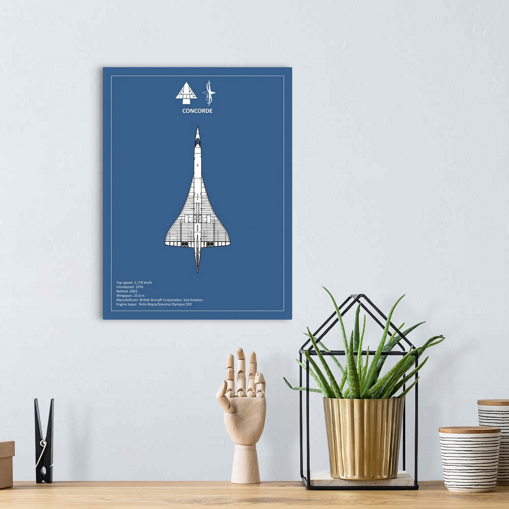 A bohemian room featuring Black and white diagram of a BAE Concorde with written information at the bottom, on a blue backg...